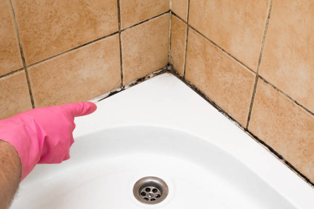Best Mold Testing  in Tunica, MS